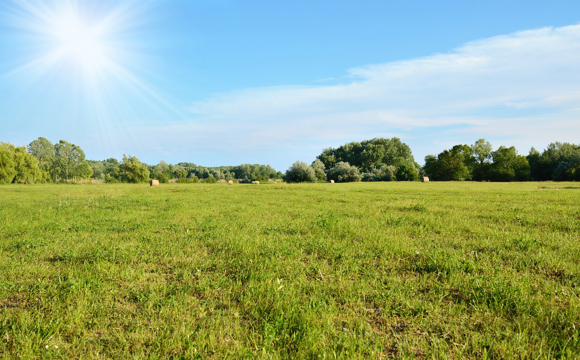 Rural Housing Loans