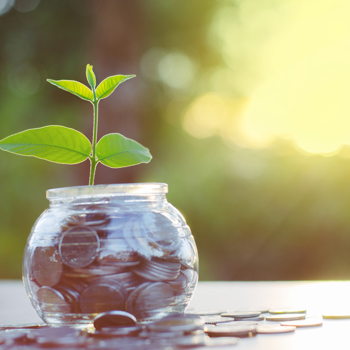 A plant growing in a jar
