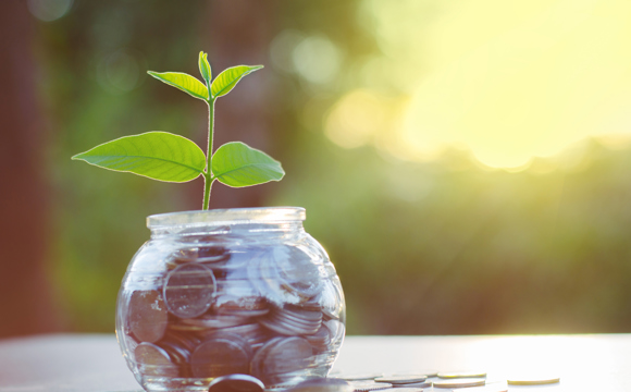 A sprout growing out of a jar of coins