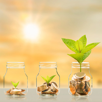 Jars full of coins sprouting seedlings in the sun.