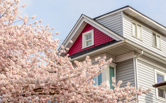 A colorfully painted established home with red wooden siding an a blossoming tree