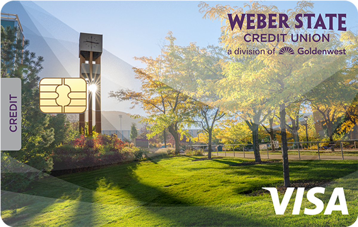   Visa Basic Credit Card