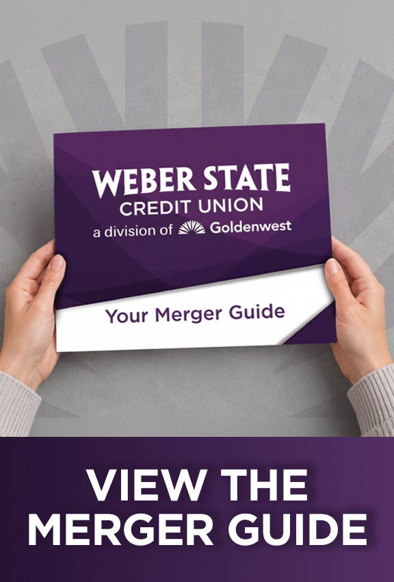 Merger Guide
